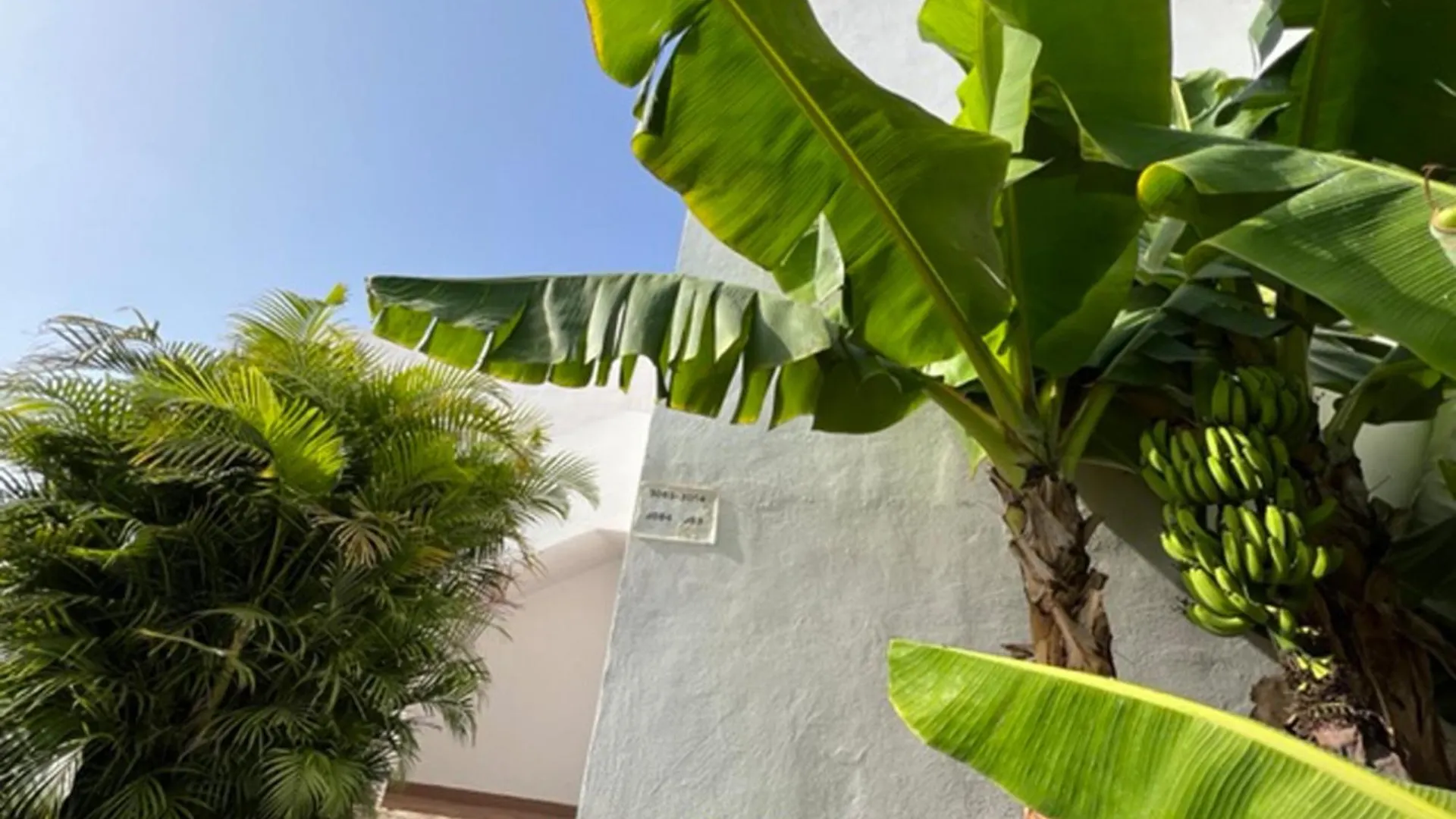 Apartment Malibu Grey Costa Adeje