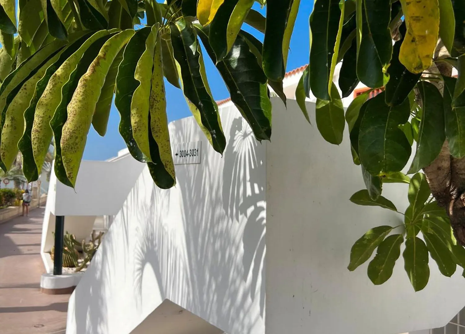 Apartment Malibu Grey Costa Adeje  0*, Costa Adeje (Tenerife)