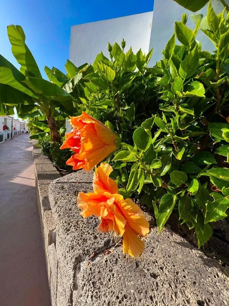 Apartment Malibu Grey Costa Adeje  0*, Costa Adeje (Tenerife) Španělsko