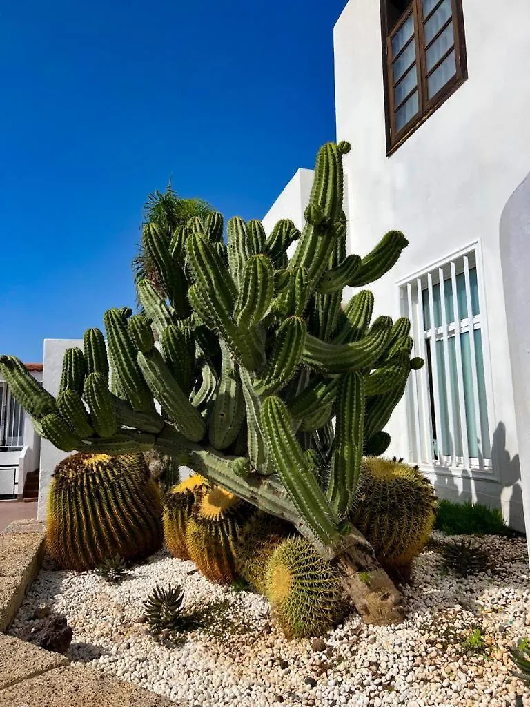 Apartment Malibu Grey Costa Adeje   Costa Adeje (Tenerife)