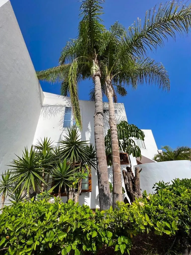 Apartment Malibu Grey Costa Adeje  Spain